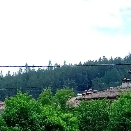 за гости милена
